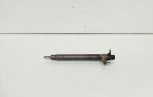 Injector, cod 9686191080, EMBR00101D, Land Rover Range Rover Evoque 2.2 CD4, 224DT (id:662052)