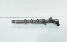 Rampa injectoare cu senzori Delphi, cod A6510700595, Mercedes Clasa E Coupe (C207) 2.2 CDI, OM651924 (idi:661683)