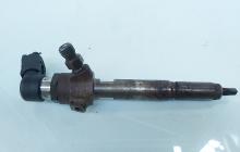 Injector, cod 8200294788, 8200380253, Renault Megane 2, 1.5 DCI, K9K732 (id:664593)