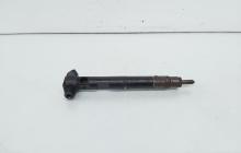 Injector Delphi, cod A6510700587, Mercedes Clasa E (W212), 2.2 CDI, OM651924 (id:662893)