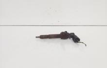 Injector, cod 7T1Q-9F593-AB, Ford Transit Connect (P65) 1.8 TDCI, R3PA (id:665408)