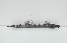 Rampa injectoare cu senzori, cod 03L130089B, Skoda Fabia 2 Combi (5J, 545), 1.6 TDI, CAY (idi:663397)