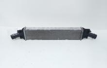 Radiator intercooler, cod 8K0145805G, Audi A5 Sportback (8TA) 2.0 TDI, CAG (idi:663459)