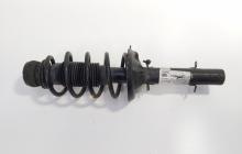 Amortizor fata, Vw Golf 4 (1J1) 1.6 benz, AZD (id:672804)