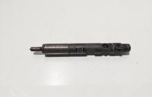 Injector Delphi, cod 166000897R, H8200827965, Renault Clio 3, 1.5 DCI, K9K770 (id:675166)