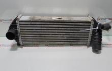 Radiator intercooler 8200427469, Renault Kangoo 1.5dci (id:288770)