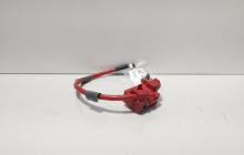 Borna baterie (+) cu capsa si senzor, cod 6982227-02, Bmw 3 Touring (E91) (idi:674610)