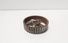 Fulie ax came, Renault Laguna 2 1.9 DCI, F9Q750 (id:679986)