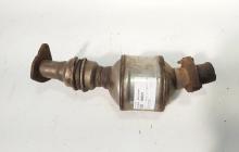 Catalizator, cod 8E0131701FM, Audi A4 (8EC, B7) 1.9 TDI, BRB (id:684721)