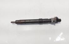 Injector, cod 9686191080, EMBR00101D, Ford Galaxy 2 2.0 TDI, UFWA (id:685050)