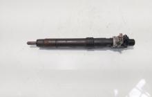 Injector, cod 9686191080, EMBR00101D, Ford Galaxy 2 2.0 TDI, UFWA (id:685052)