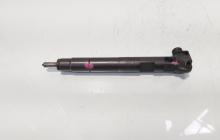 Injector Delphi, cod A6510704987, Mercedes Clasa E (W212) 2.2 CDI, OM651924 (id:683925)