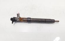 Injector, cod 9686191080, EMBR00101D, Ford Galaxy 2 2.0 TDCI, UFWA (id:686889)