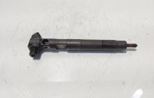 Injector Delphi, cod A6510702887, Mercedes Clasa E (W212) 2.2 CDI, OM651924 (id:685092)