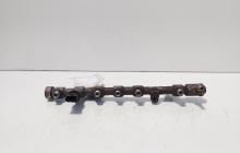 Rampa injectoare cu senzori, cod 8200620689, 0445214113, Renault Megane 3 Combi, 1.9 DCI, F9Q754 (idi:685420)