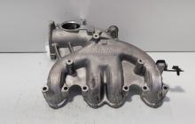 Galerie admisie, cod 038129713BM, Audi A4 (8E2, B6) 2.0 TDI, BPW (id:689953)