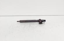 Injector Delphi, cod A6510700587, Mercedes Clasa E (W212), 2.2 CDI, OM651924 (id:689246)