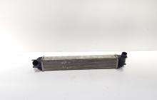 Radiator intercooler, cod 144610001N, Renault Laguna 3 1.5 DCI, K9K780 (id:692900)