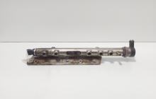 Rampa injectoare cu senzori, cod 55211906, 0445214086, Opel Corsa D, 1.3 CDTI, Z13DTJ (id:693506)