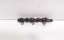 Rampa injectoare cu senzori, cod 175212190R, 0445214251, Opel Vivaro (F7), 2.0 CDTI, M9R782 (id:696521)