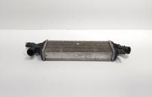Radiator intercooler, Nissan Primera (P12) 1.9 DCI, F9Q (id:697252)