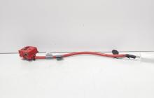 Borna baterie plus cu capsa, cod 9217035-01, Bmw 5 Gran Turismo (GT) (id:701172)
