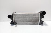Radiator intercooler, cod CV61-9L440-VD, Ford Focus 3 1.0 benz, M1DA (id:701901)