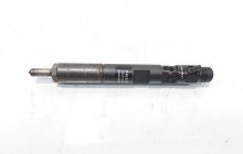 Injector Delphi, cod 166000897R, H8200827965, Renault Clio 3, 1.5 DCI, K9K770 (id:703703)