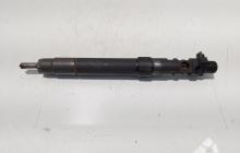 Injector, cod 9686191080, EMBR00101D, Ford Galaxy 2, 2.0 TDCI, UFWA (id:700551)