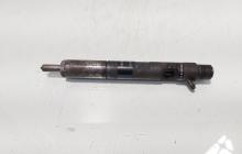 Injector Delphi, cod 166001137R, 28232251, Renault Megane 3 1.5 DCI, K9KF830 (id:699548)
