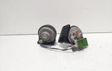 Set claxoane, cod 256100008R, Renault Laguna 3 (id:705026)
