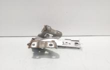 Set balamale capota fata, Audi A5 Sportback (8TA) (id:706158)