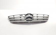 Grila bara fata centrala cu sigla, cod 1698800183, Mercedes Clasa B (W245) (id:707047)