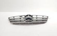 Grila bara fata centrala cu sigla, cod 1698800183, Mercedes Clasa B (W245) (id:707047)