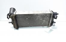 Radiator intercooler, cod BV61-9L440-CE, Ford Focus 3 1.6 TDCI, T1DA (id:709682)