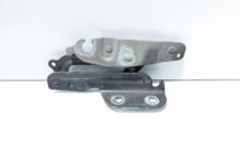 Set balamale capota fata, Ford Fiesta 6 (id:551148)