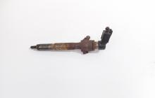 Injector, cod 8200294788, 166009445R, Dacia Duster 1.5 DCI, K9K856 (id:710072)