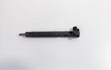 Injector Delphi, cod A6510702887, Mercedes Clasa E (W212) 2.2 CDI, OM651924 (id:711749)