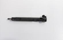 Injector Delphi, cod A510702887, Mercedes Clasa E (W212) 2.2 CDI, OM651924 (id:711748)
