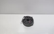 Fulie ax came, Vw Golf 5 (1K1) 1.9 TDI, BXE (id:700437)