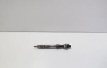 Injector, cod 9686191080, EMBR00101D, Ford Galaxy 2 2.0 TDCI, UFWA (id:713306)