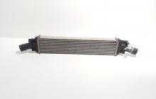 Radiator intercooler, cod 8K0145805P, Audi A5 Sportback (8TA) 2.0 TDI, CGL (id:714982)