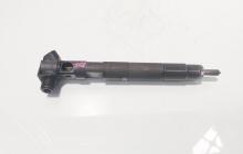 Injector Delphi, cod A6510702887, Mercedes Clasa E (W212) 2.2 CDI, OM651924 (id:714619)