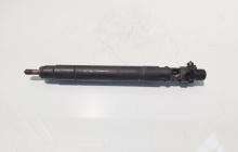 Injector, cod 9686191080, EMBR00101D, Ford Galaxy 2 2.0 TDCI, UFWA (id:716145)