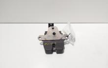 Broasca haion, Ford Focus 3 (id:716936)