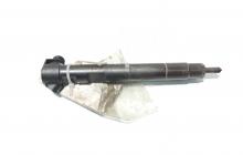 Injector Delphi, cod A6510702887, Mercedes Clasa E (W212) 2.2 CDI, OM651924 (id:585052)