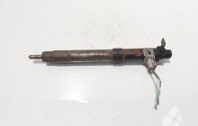 Injector, cod 9686191080, EMBR00101D, Ford Galaxy 2 2.0 TDCI, UFWA (id:718283)