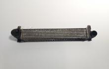 Radiator intercooler, Seat Alhambra (7V8, 7V9) 1.9 TDI, AUY (idi:717497)
