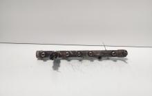 Rampa injectoare cu senzor, cod 8200396999, 0445214078, Renault Scenic 2 1.9 DCI, F9Q804 (id:718471)