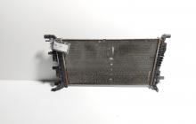 Radiator racire apa, cod 214105378R, Renault Megane 3 Coupe 1.5 DCI, K9K832 (id:718967)